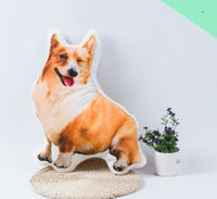 HKM-935699 Customized 3D Pet Pillow - Soft Cushion for Bedroom Decor