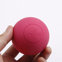 HKM-937171 Rubber Pet Solid Bouncy Ball Dog Toy