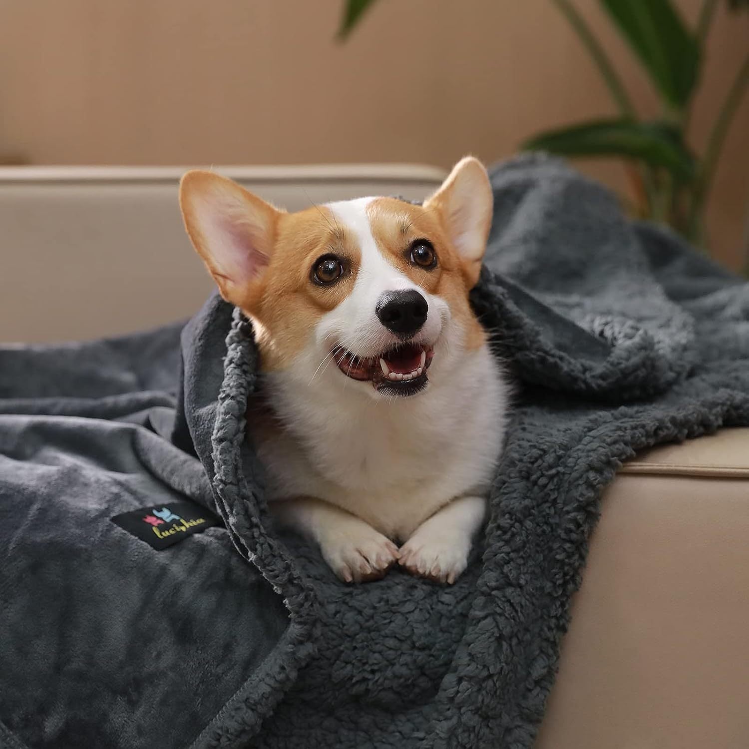 HKM-940307 Navy Blue Pet Lamb Wool Warm Blanket - Multiple Sizes Available