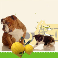 HKM-942931 EVA Floating Pet Dog Training Ball Puppy Bite Resistant Ball With Rope Pet Training Ball Chew Toys For Pet Supplies