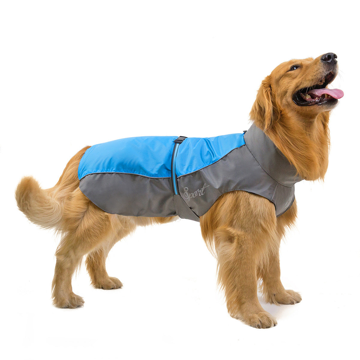 HKM-945491 Big Dog Raincoat for Golden Retrievers and Huskies - Waterproof Polyester in Blue, Red, Orange, Green, Sizes 3XL to 9XL