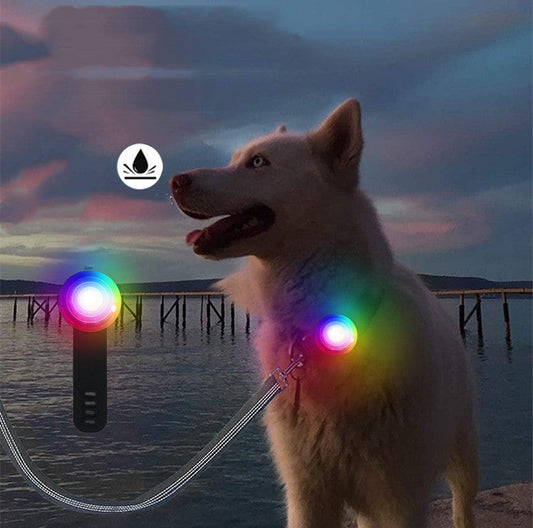 HKM-945491 Pet Safety Light with Charging Strap – Waterproof and Colorful LED Options