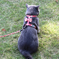HKM-945811 Japanese Floral Cat Leash in Navy Blue and Pink Cherry Variants, Made with Cotton Cloth and Durable Accessories