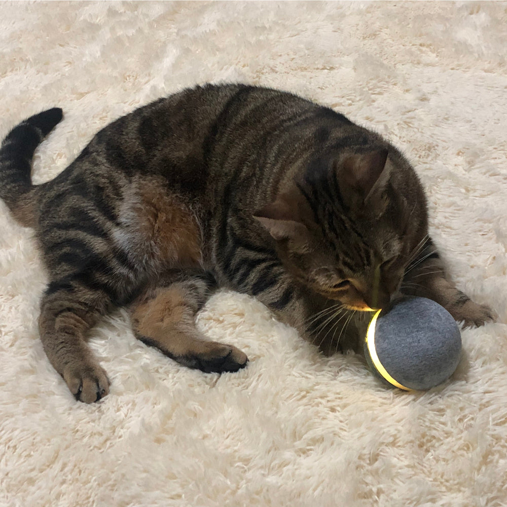 HKM-948371 Cat toy bouncing ball