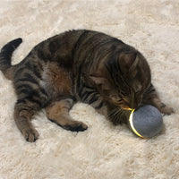 HKM-948371 Cat toy bouncing ball