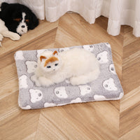 HKM-949203 Cozy Double-sided Cartoon Pet Mat Blanket in Various Bear Designs