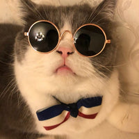 HKM-949587 Plaid Cat Lion Headgear with Sunglasses - Cute Photo Prop for Pets