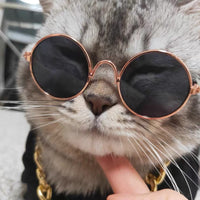 HKM-949587 Plaid Cat Lion Headgear with Sunglasses - Cute Photo Prop for Pets