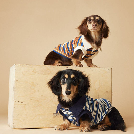 HKM-951635 Striped Cotton Polo Shirt for Dogs - Cute Sleeveless Vest in Blue and Brown