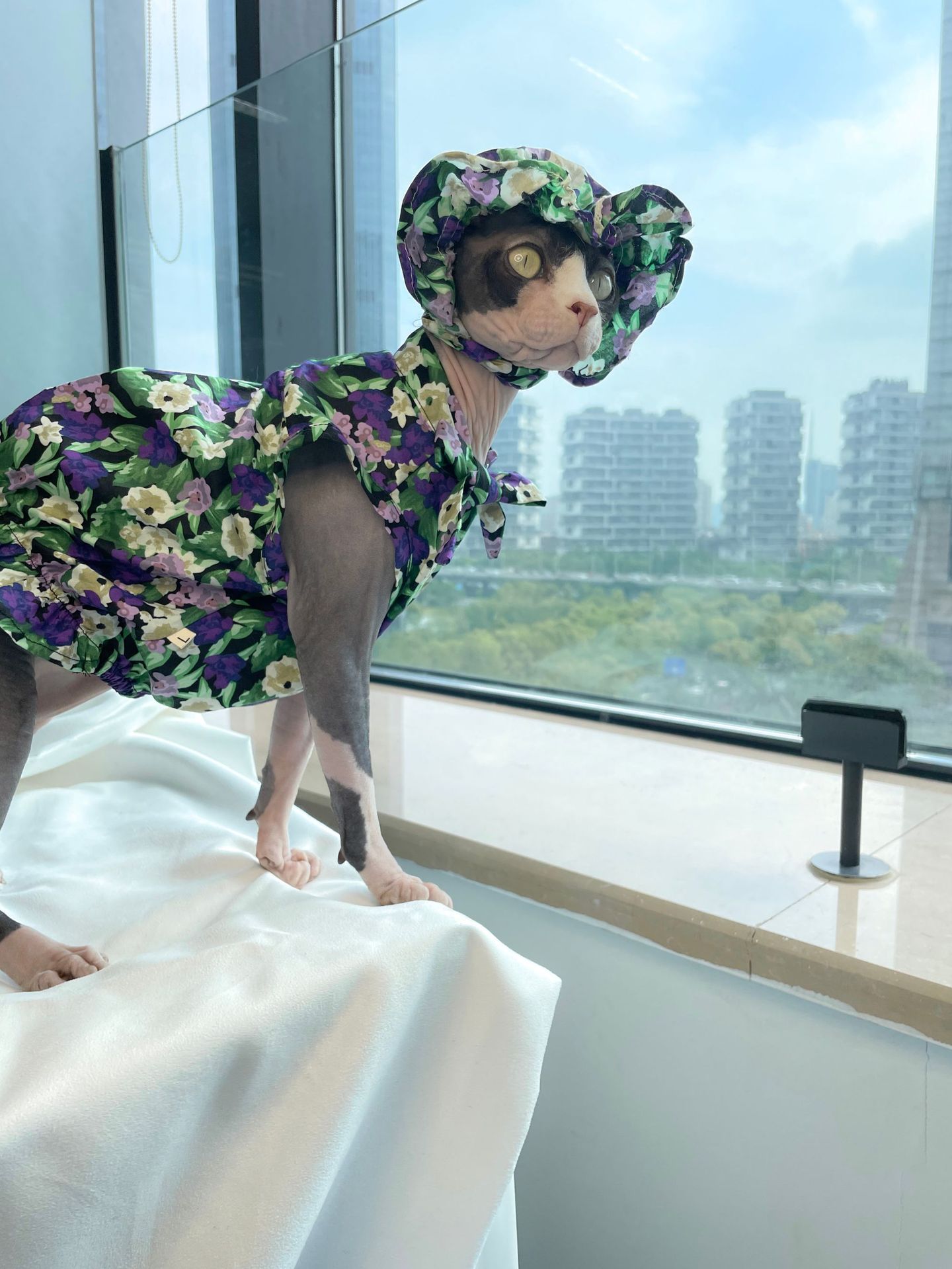 HKM-952787 Summer Floral Dress for Hairless Cats, Cotton Material, Available in Red and Purple, Sizes M to XXL