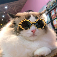 HKM-953043 Fashionable Red Pet Sunglasses for Cats - UV400 Protection, Multiple Colors Available