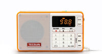 HKM-953235 Digital Audio Player with Radio Function and TF Card Support - Tecsun Q3, Various Colors Available