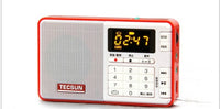 HKM-953235 Digital Audio Player with Radio Function and TF Card Support - Tecsun Q3, Various Colors Available