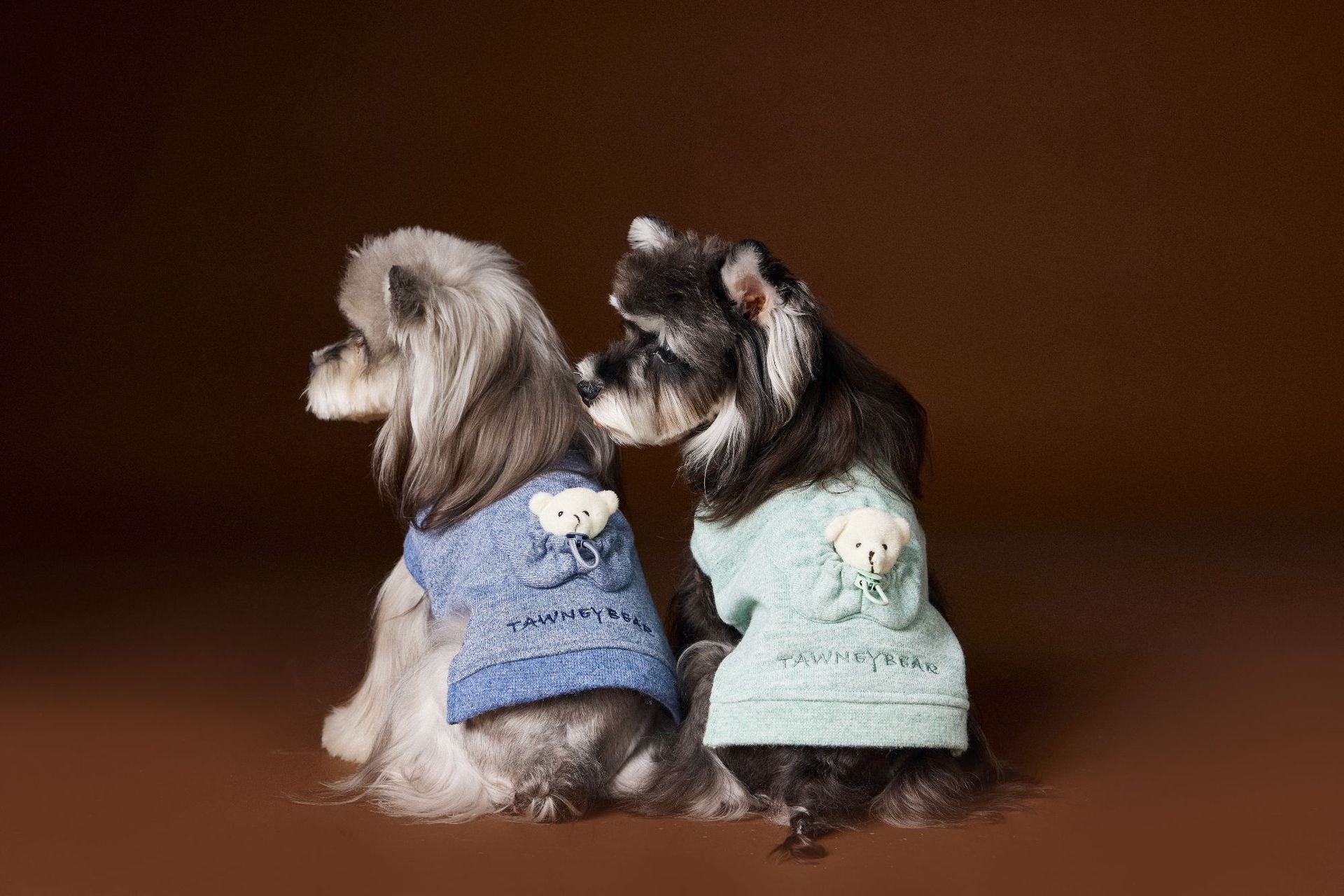HKM-953683 Blue and Green Sleeveless Sweater with Three-Dimensional Bear Head for Pets