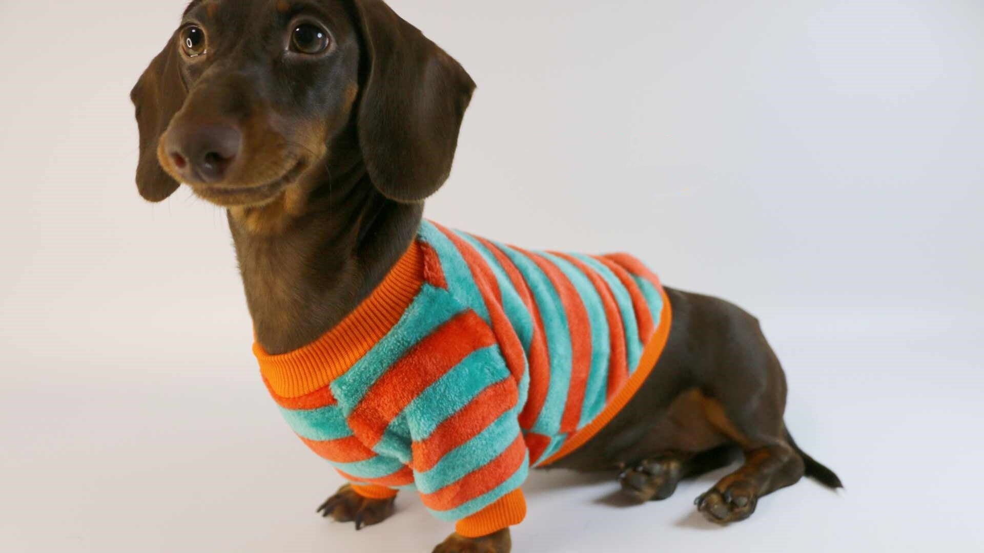 HKM-954195 Casual Round Neck Sweatshirt for Dogs and Cats - Cozy Warmth in Stripes