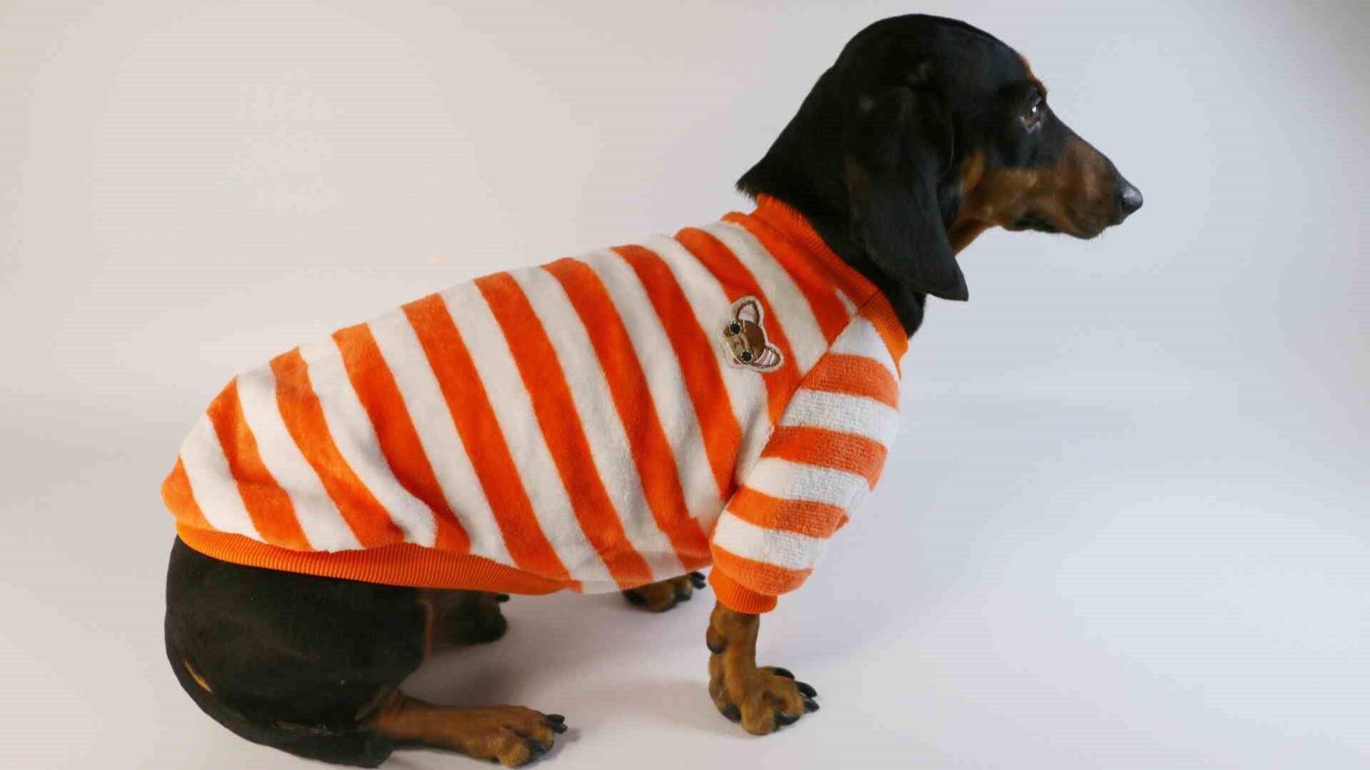 HKM-954195 Casual Round Neck Sweatshirt for Dogs and Cats - Cozy Warmth in Stripes