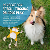 HKM-954515 Plush Squeaky Dog Toys - Durable Chewing Animal Designs for Interactive Play