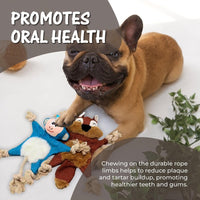 HKM-954515 Plush Squeaky Dog Toys - Durable Chewing Animal Designs for Interactive Play