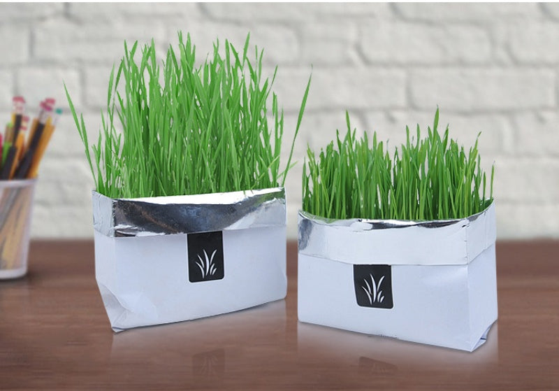 HKM-955283 Soilless Organic Cat Grass