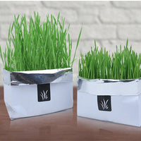 HKM-955283 Soilless Organic Cat Grass