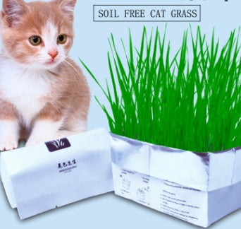 HKM-955283 Soilless Organic Cat Grass