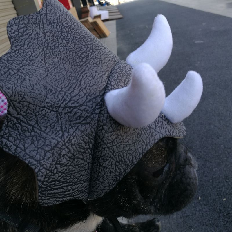 HKM-955347 Pet Triceratops Dinosaur Hat for Dogs and Cats - Four Seasons Costume Headgear
