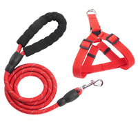HKM-957971 Reflective EVA Pet Dog Leash and Collar Set - Fashionable and Simple Design in Multiple Colors