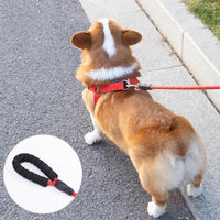 HKM-957971 Reflective EVA Pet Dog Leash and Collar Set - Fashionable and Simple Design in Multiple Colors