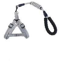 HKM-957971 Reflective EVA Pet Dog Leash and Collar Set - Fashionable and Simple Design in Multiple Colors