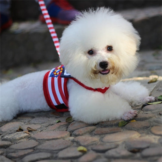 HKM-958163 Pet VIP Comfortable Chest Strap Set for Small Pets - Blue & Red, Various Sizes Available