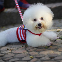 HKM-958163 Pet VIP Comfortable Chest Strap Set for Small Pets - Blue & Red, Various Sizes Available
