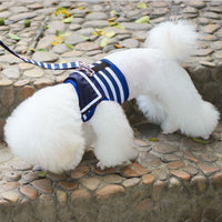 HKM-958163 Pet VIP Comfortable Chest Strap Set for Small Pets - Blue & Red, Various Sizes Available