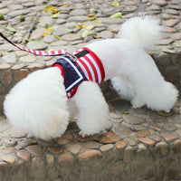 HKM-958163 Pet VIP Comfortable Chest Strap Set for Small Pets - Blue & Red, Various Sizes Available