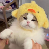 HKM-958291 Fashionable Knitted Pet Hats for All Seasons – Variety of Cute Animal Designs