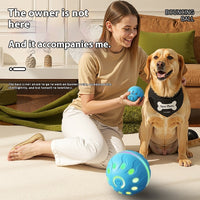 HKM-959571 Automatic Jumping Dog Ball - Sky Blue & Orange Red - Long Battery Life Pet Toy