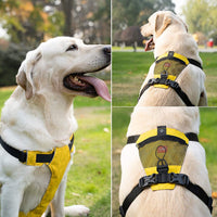 HKM-962771 Reflective Waterproof Dog Harness for Puppies - No Pull Nylon Vest in Multiple Sizes