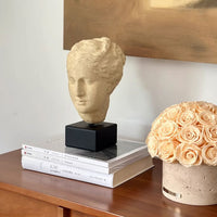 HKM-963667 Medieval Light Luxury Art Portrait Sculpture - 18x15x30cm Composite Material Ornament