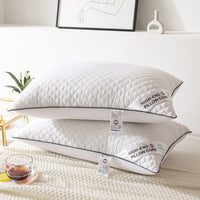 HKM-964691 Feather Velvet Pillow for Adults - Single Side, Cold Gray, 48x74cm