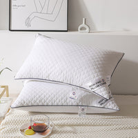 HKM-964691 Feather Velvet Pillow for Adults - Single Side, Cold Gray, 48x74cm
