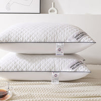 HKM-964691 Feather Velvet Pillow for Adults - Single Side, Cold Gray, 48x74cm