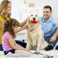 HKM-968211 Interactive Soft Strawberry-Shaped Plush Toy for Puppies - Squeaky Chew Toy for Teething and Playtime