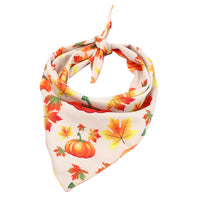 HKM-969043 Thanksgiving Turkey Pet Accessory - Cloth Collar for Pets with Neck Circumference 25-48CM