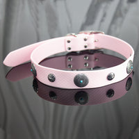 HKM-971347 Washable Encapsulization Webbing Dog Collar in Various Colors and Sizes