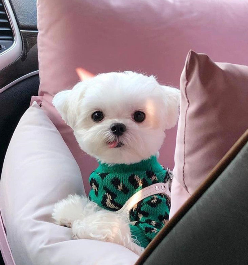 HKM-973203 Knitted Sleeveless Leopard-print Sweater for Small Dogs and Cats