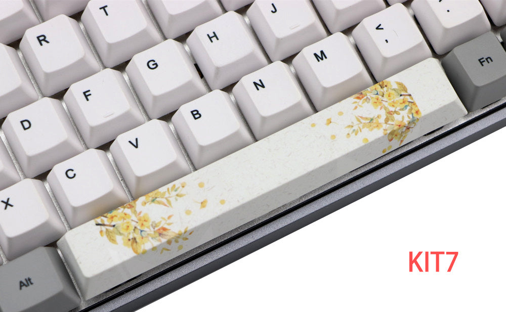 HKM-975955 6.25U PBT Five-Sided Sublimation Space Keycap for Mechanical Keyboards