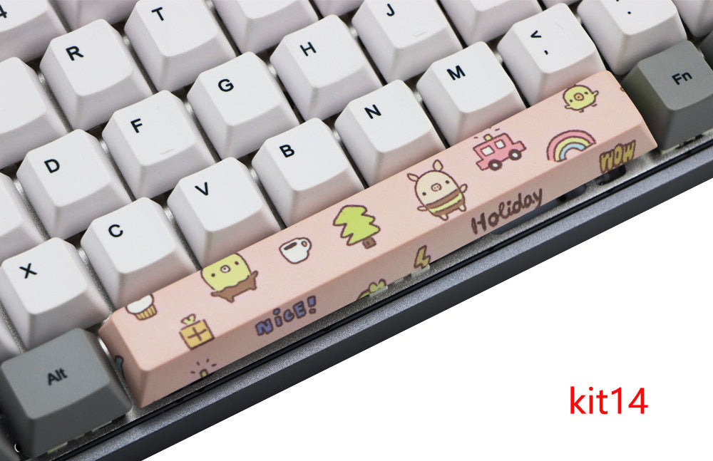 HKM-975955 6.25U PBT Five-Sided Sublimation Space Keycap for Mechanical Keyboards