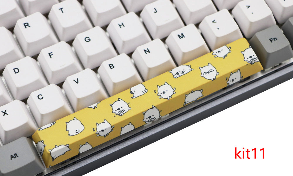 HKM-975955 6.25U PBT Five-Sided Sublimation Space Keycap for Mechanical Keyboards