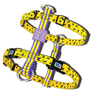 HKM-979731 Adjustable Soft Nylon Dog Harness Vest with Leash for Large Dogs