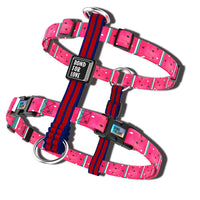 HKM-979731 Adjustable Soft Nylon Dog Harness Vest with Leash for Large Dogs