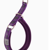 HKM-980243 Dog Collar P Chain Dog Walking Collar Collar Artifact